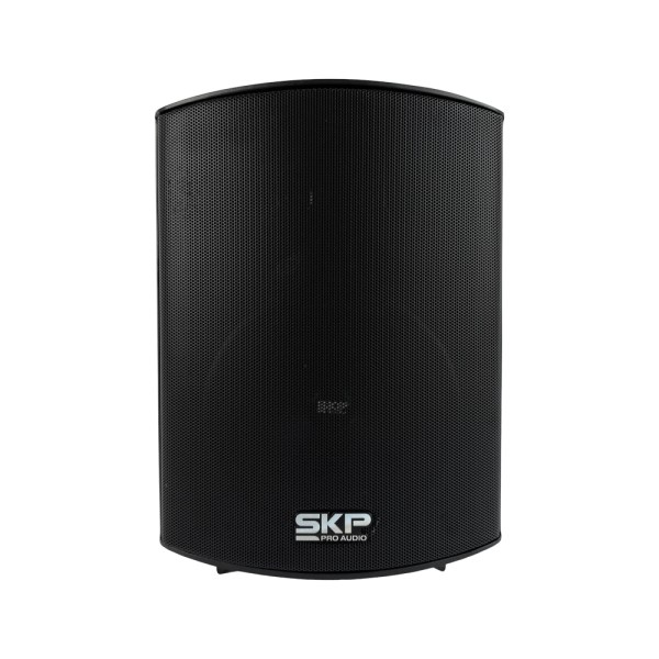 SK-106B-1